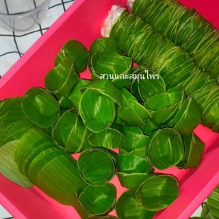 กระทงใบตองสด ทรงกลม กระทงขนมเข่ง ขนาด5.5ซม.และ ขนาด6.5ซม. 100ชิ้น ส่งภายใน3วันค่ะ