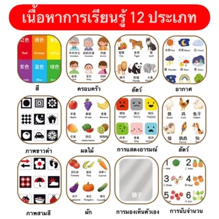 แผ่นพัฒนาการเด็ก เสริมทักษะเด็กแรกเกิด 0-12 เดือน