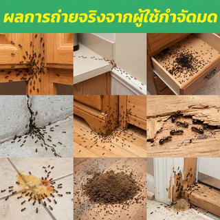 ผงกำจัดมด กำจัดมดเร็ว ป้องกันยาวนาน สูตรมีประสิทธิภาพ ปลอดภัย เป็นมิตรกับสิ่งแวดล้อม 70 กรัม