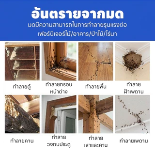 ผงกำจัดมด กำจัดมดเร็ว ป้องกันยาวนาน สูตรมีประสิทธิภาพ ปลอดภัย เป็นมิตรกับสิ่งแวดล้อม 70 กรัม