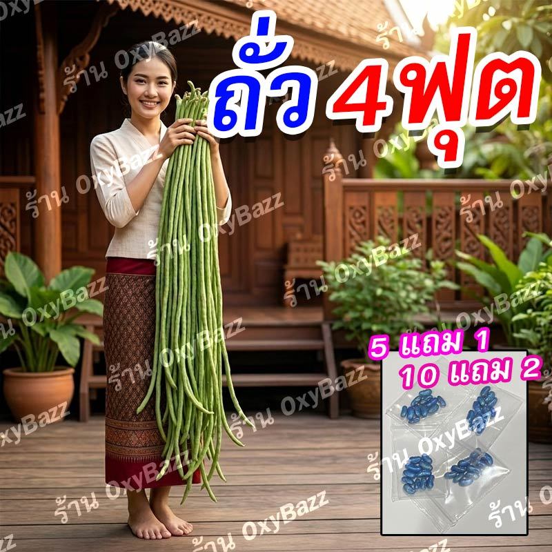 เมล็ดถั่วฝักยาว 4 ฟุต 10 เมล็ด ฝักยาวพิเศษ ลูกดก ปลูกง่าย โตไว ให้ผลผลิตสูง (5 แถม 1) (10แถม2)