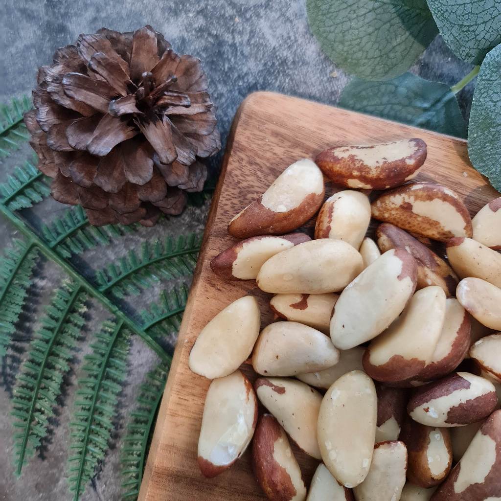 Nature’s Delight Brazil Nut 250g / บราซิลนัท 250 กรัม ตราเนเจอร์ส ดีไลท์ ราคา ถูกที่สุด ดีลบีเคเค แกลเลอรีภาพที่ 4