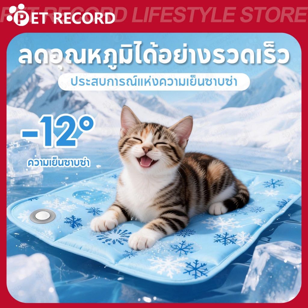 【PET RECORD】🔥แผ่นรองเย็นสัตว์เลี้ยง แผ่นเจลเย็นคลายร้อน สุนัขแมว ใช้นอนคลายร้อน หน้าร้อน เย็นสบาย