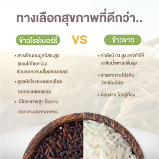 [ต้องลอง!] ข้าวไรซ์เบอร์รี่ (คุมไขมัน รูปร่างดี สุขภาพดียั่งยืน) ปลอดสาร ข้าวเพื่อสุขภาพ เกรดพรีเมี่ยม - แบรนด์บีทร้า