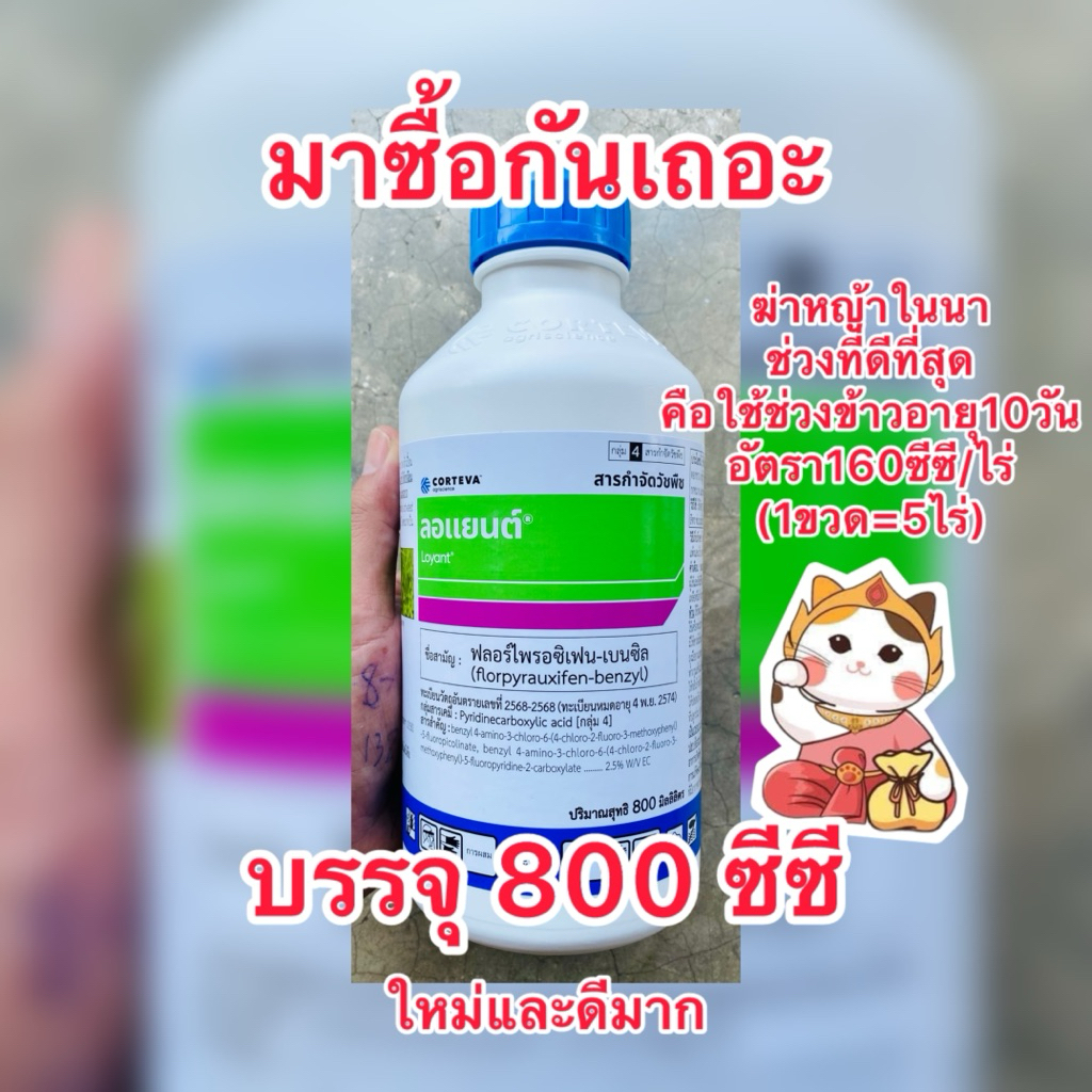 ลอแยนต์ สารกำจัดวัชพืชในนา บ.คอร์เทวา (1ขวดได้5ไร่)บรรจุ800ซีซี/ขวด