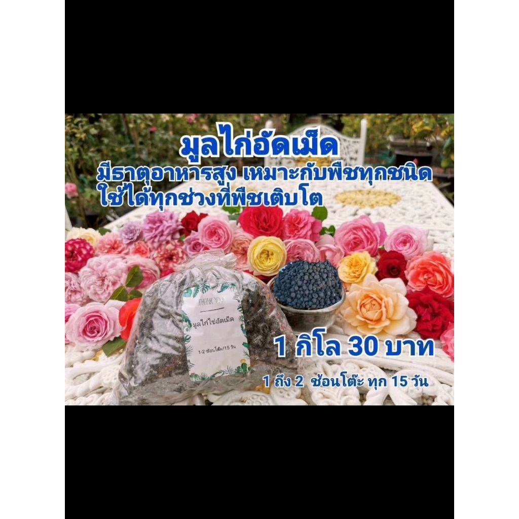 มูลไก่อัดเม็ด ธาตุอาหารสูง ใช้ได้ทุกช่วงที่พืชเจริญเติบโต ไม่ส่งพื้นที่ห่างไกล พื้นที่​ท่องเที่ยว​ หมู่เกาะ