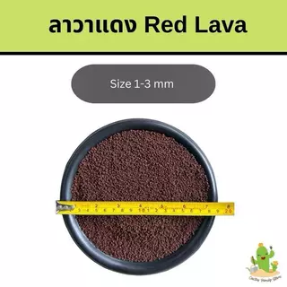 ✅ส่งฟรี หินลาวาดำ หินลาวาแดง (Volcanic rock)