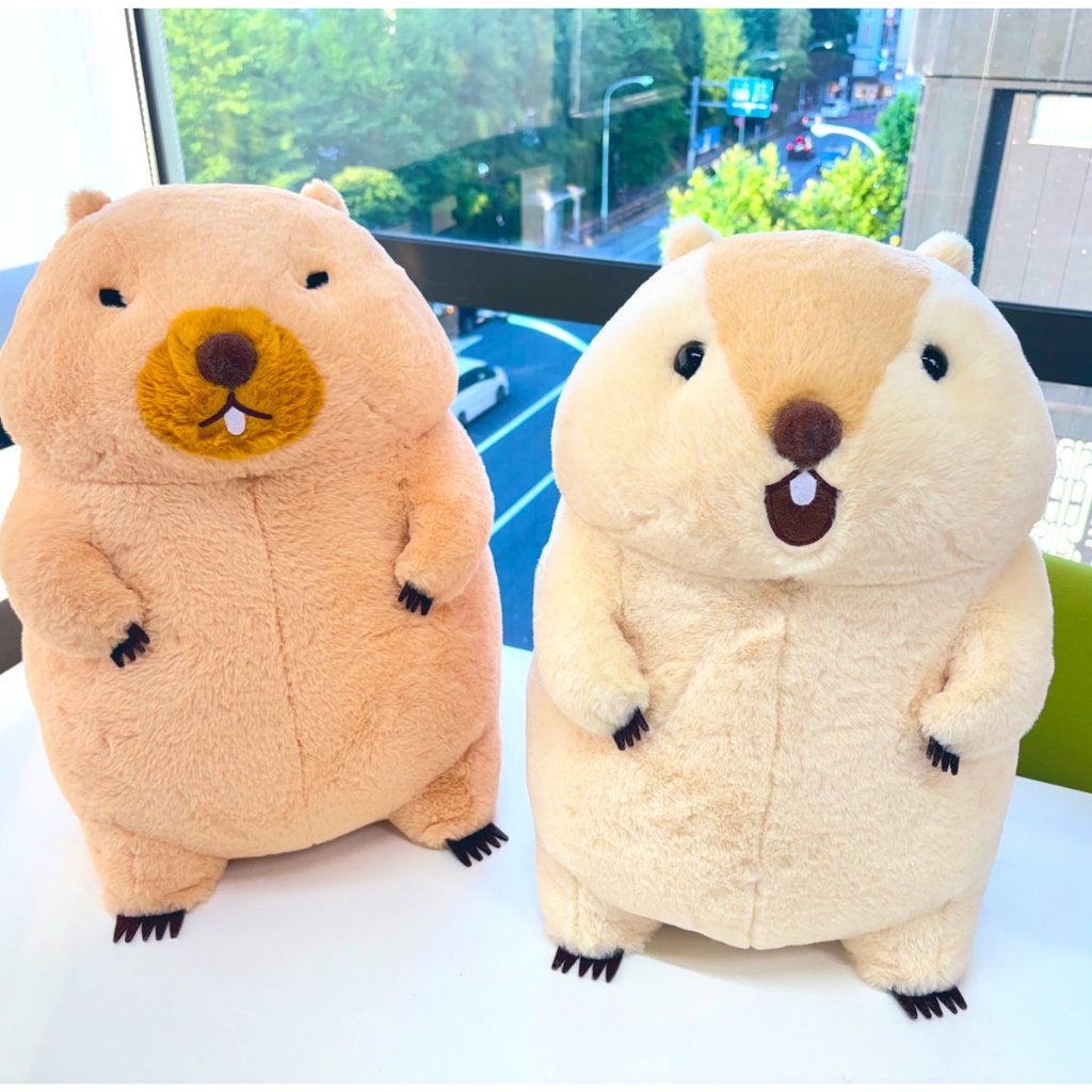 [⭐️แท้/ญี่ปุ่น] ตุ๊กตา Marmot big plush toy ตุ๊กตามาร์มอต x Amufun