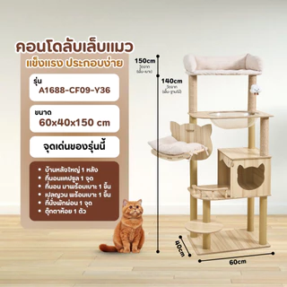 [ส่งไว/มีโค้ด] PetParadise คอนโดแมวไม้ รุ่นY36 สูง150cm แคปซูลนอนใส 1 หลุม พร้อมเปลนอน มินิมอล แข็งแรง