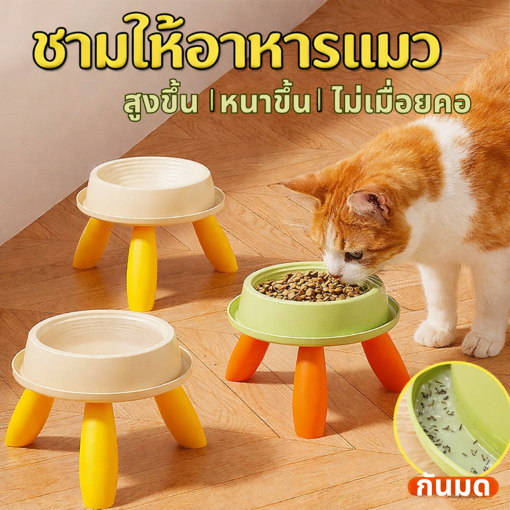 ชามอาหารสัตว์เลี้ยง แบบยกสูงถนอมคอ ถ้วยน้ำแมว/หมา เคลื่อนย้ายสะดวก 2ชั้นถอดได้ วัสดุ PP ถอดล้างได้ กันมด กันลื่น