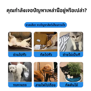 🐶🐱ฉีดปุ๊บ หมาแมวหนีทันที! สเปรย์ไล่หมาแมว 520ml กันฉี่ กันขับถ่าย ไม่เข้าใกล้ ไม่กลับมา ใช้ในบ้านและสวน