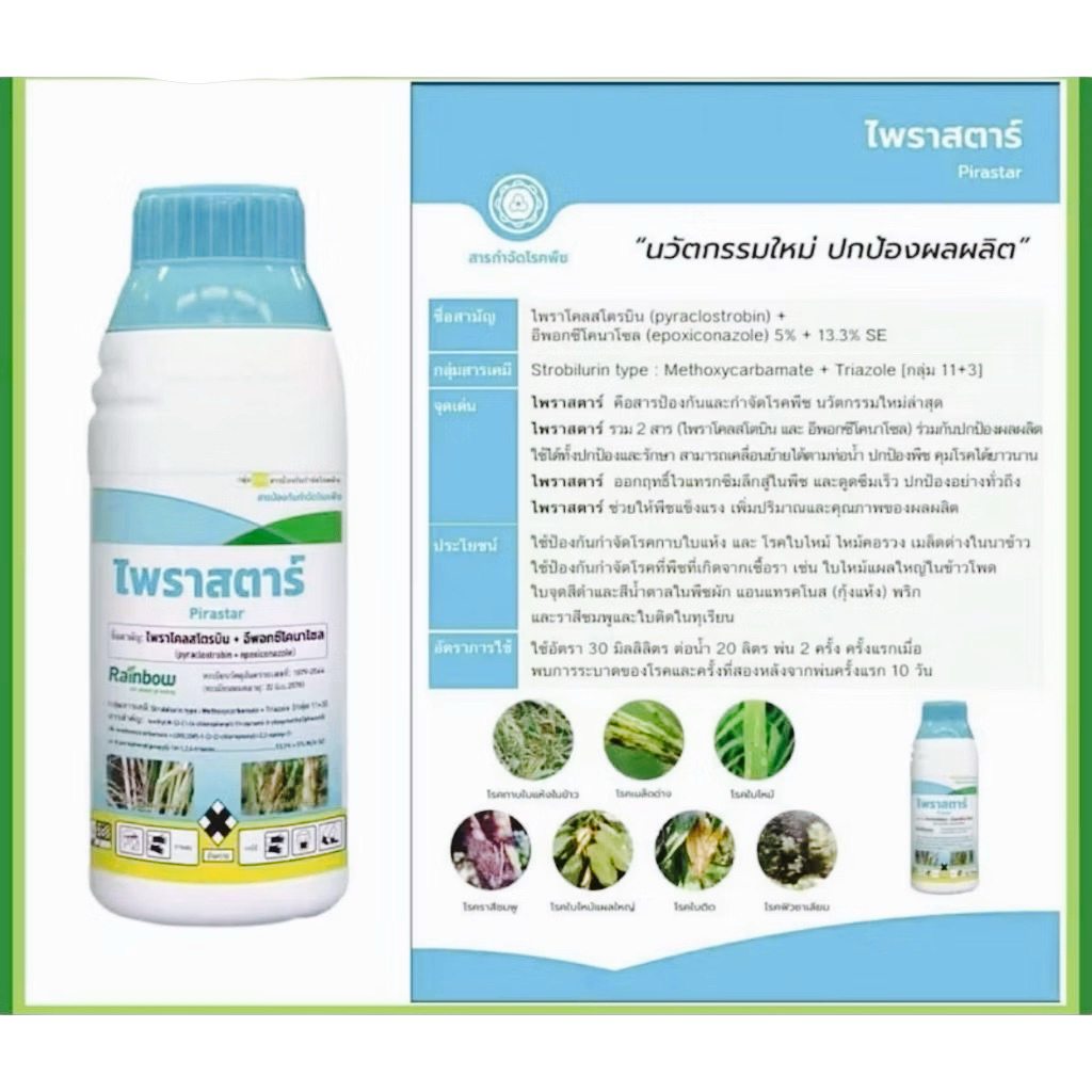 ไพราสตาร์ บริษัท เรนโบว์ ป้องกันและกำจัดโรคใบไหม้, โรคเมล็ดด่าง,โรคกาบใบแห้ง โรคแอนแทรคโนส ราคา ถูกที่สุด ดีลบีเคเค แกลเลอรีภาพที่ 5