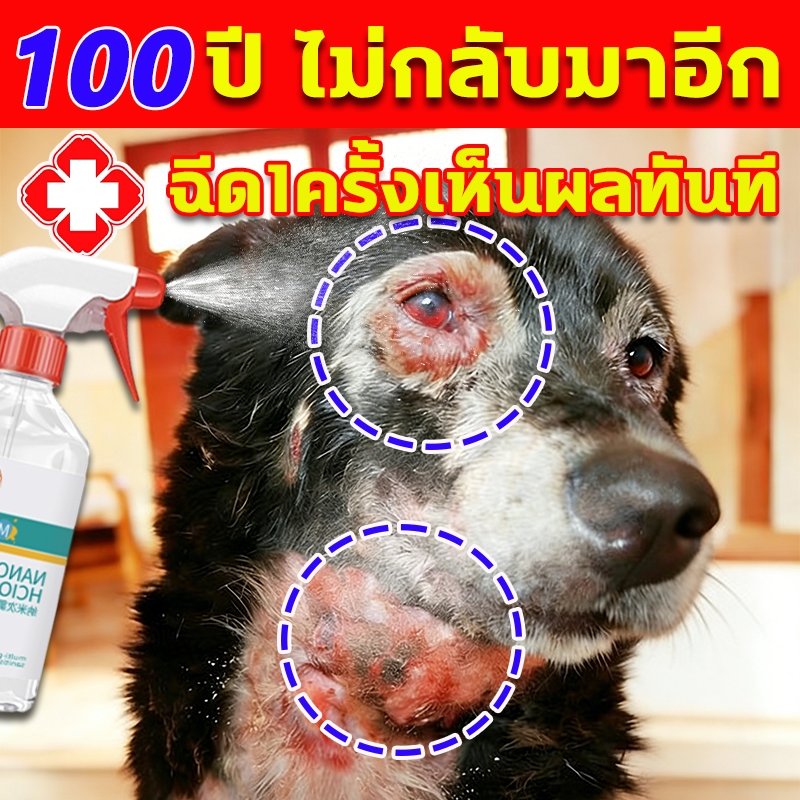 ฉีด 1 ครั้งเห็นผลทันที!!! สเปรย์ผิวหนังสัตว์เลี้ยง 500ml สเปรย์รักษาโรคผิวหนังสัตว์เลี้ยง สเปรย์ผิวหนังสุนัขและแมว