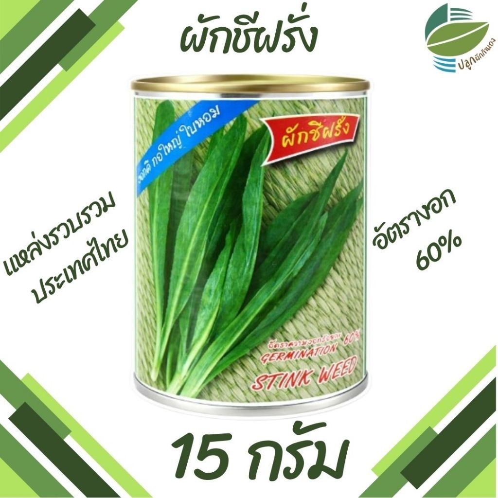 เมล็ดพันธุ์ ผักชีฝรั่ง ตราปลาทอง ( 15 กรัม )