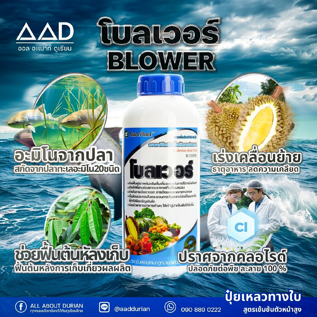 โบลเวอร์ กรดอะมิโนชนิดน้ำสกัดจากปลาทะเล สารเพิ่มประสิทธิภาพพืช
