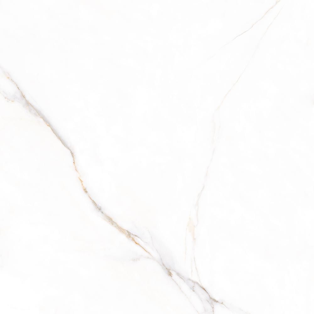 กระเบื้องพอร์ซเลน GP 60X60 ไรลีย์ ซีรีย์ (N SATIN) R/T PM COTTO
