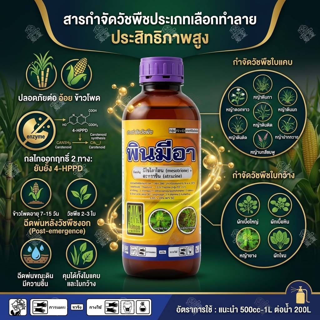 มีโซไตรโอน+อะทราซีน (1ลิตรx12ขวด) พินมีอา ใช้แบบ เมอร์เทคท์ คาลลารีส ฆ่า-คุม หญ้า ใบแคบ และ ใบกว้าง