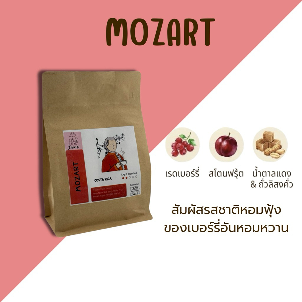 เมล็ดกาแฟ คั่วอ่อน MOZART - Costa Rica  |  เมล็ดกาแฟ