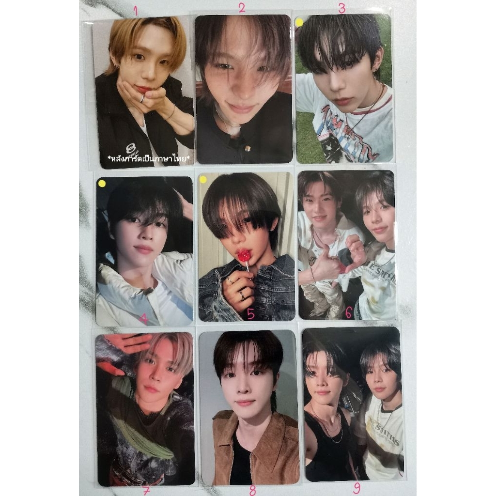 [อัพเดต​ 08/04] การ์ด RIIZE 🧡 ทุกเมม พร้อมส่ง ตะกร้า 2 (1-71)