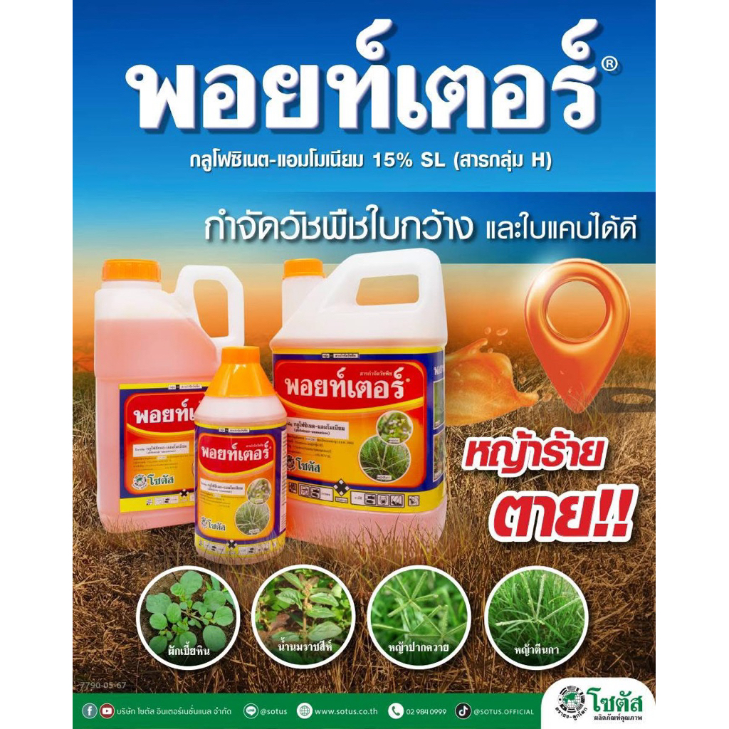 พอยท์เตอร์ โซตัส กลูโฟซิเนต-แอมโมเนียม สารกำจัดวัชพืชแบบไม่เลือกทำลาย กำจัดวัชพืชประเภทใบแคบ ใบกว้าง กก