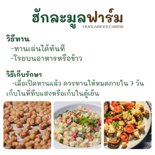 ถั่วลูกไก่งอก อบ ไร้น้ำมัน 120กรัม ตราผลิ พร้อมทาน จากถั่วลูกไก่งอกออร์แกนิค