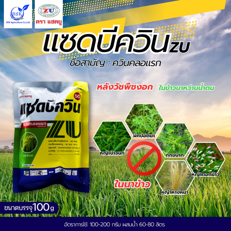 แซดบีควิน ควินคลอแรก 50% 100 กรัม (บ.แซดยู)