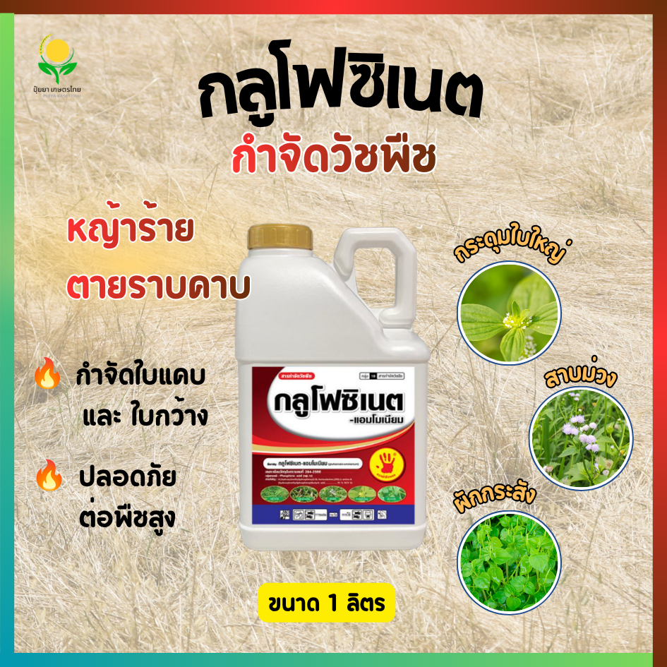 กลูโฟซิเนต-แอมโมเนียม 15% W/V SL กำจัดวัชพืช หญ้า ขนาด 4 ลิตร บรรจุภัณฑ์ 1x4L สำหรับการใช้ในสวนและไร่ ฝ่ามือแดง