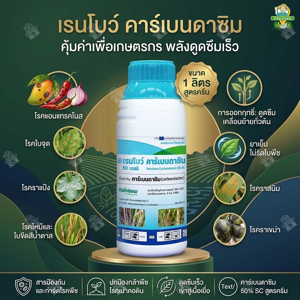 คาร์เบนดาซิม 1 ลิตร 50% SC สูตรครีม (ยาเย็น) ยาเชื้อรา ดูดซึม แก้แอนแทรคโนส ใบจุด ราแป้ง ใบไหม้ ราดำ