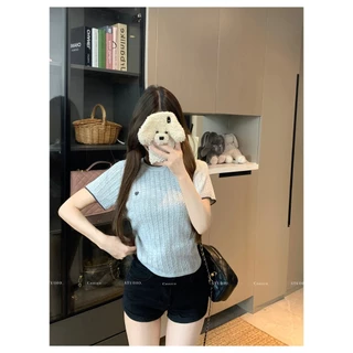 พร้อมส่งในไทย** เสื้อยืดผู้หญิง ขนาดเดียว สไตล์สุภาพ ใส่ทำงานได้ Y315