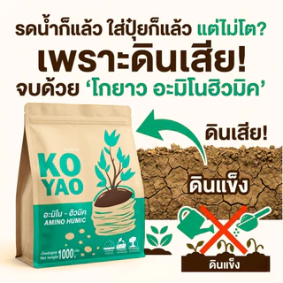 Koyao Humic สารปรับสภาพดิน ฟื้นต้นโทรม แก้ใบเหลืองใบไหม้ เร่งราก กระตุ้นแตกใบอ่อน ต้นสมบูรณ์ ใบเขียว