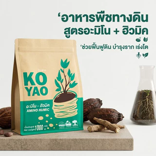 Koyao Humic สารปรับสภาพดิน ฟื้นต้นโทรม แก้ใบเหลืองใบไหม้ เร่งราก กระตุ้นแตกใบอ่อน ต้นสมบูรณ์ ใบเขียว