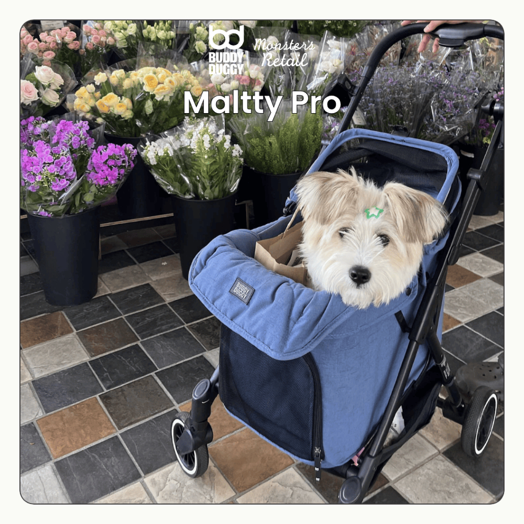 รถเข็นสัตว์เลี้ยง BUDDYDUGGY รุ่น Maltty Pro รูปที่ 8