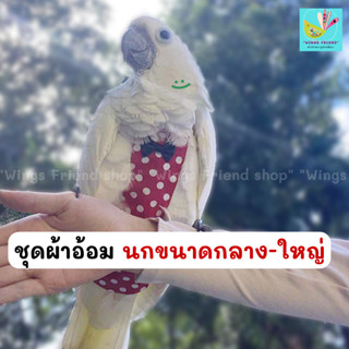 ชุดผ้าอ้อมนกแก้ว ผ้าอ้อมนกแก้ว ชุดนกแก้ว (ซัน ไคท์ เกรย์ ตัส…