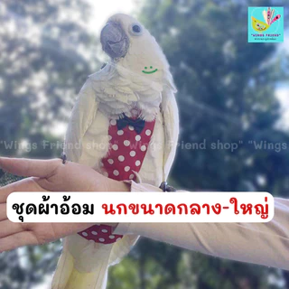 ชุดผ้าอ้อมนกแก้ว ผ้าอ้อมนกแก้ว ชุดนกแก้ว (ซัน ไคท์ เกรย์ ตัส มาร์คอ กระตั้ว) นกกลาง-ใหญ่
