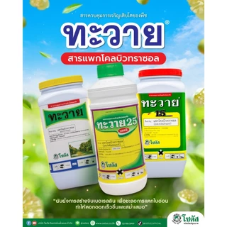 ทะวาย ขนาด 10 กิโลกรัม แพคโคลบิวทราโซล 10% ควบคุมการเจริญเติบโตของพืช ออกดอกสม่ำเสมอ เพิ่มคุณภาพผลผลิต