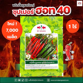 พริก ซุปเปอร์ฮอท 40 ศรแดง ขนาด 7,000 เมล็ด (ประมาณ 40 กรัม) ปลูกได้ 1 ไร่