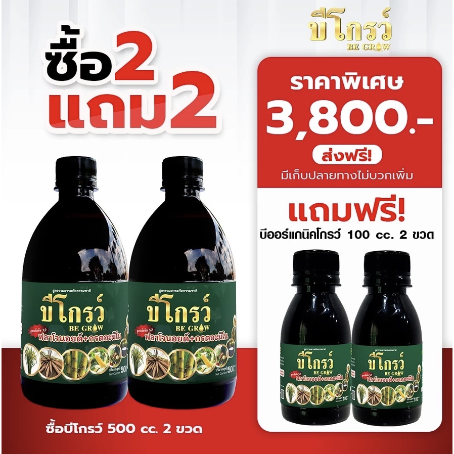 🔥🔥[ส่งด่วน Exp.2029] Be Grow บีโกรว์ อาหารเสริมพืชชนิดน้ำ ลดปุ๋ย ลดยารับประกันของแท้