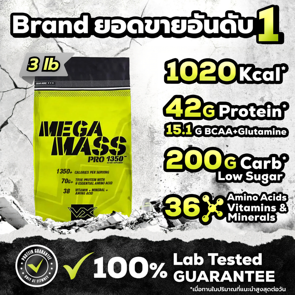 VITAXTRONG MEGA MASS PRO (3 LB) | MASS PROTEIN 70G
