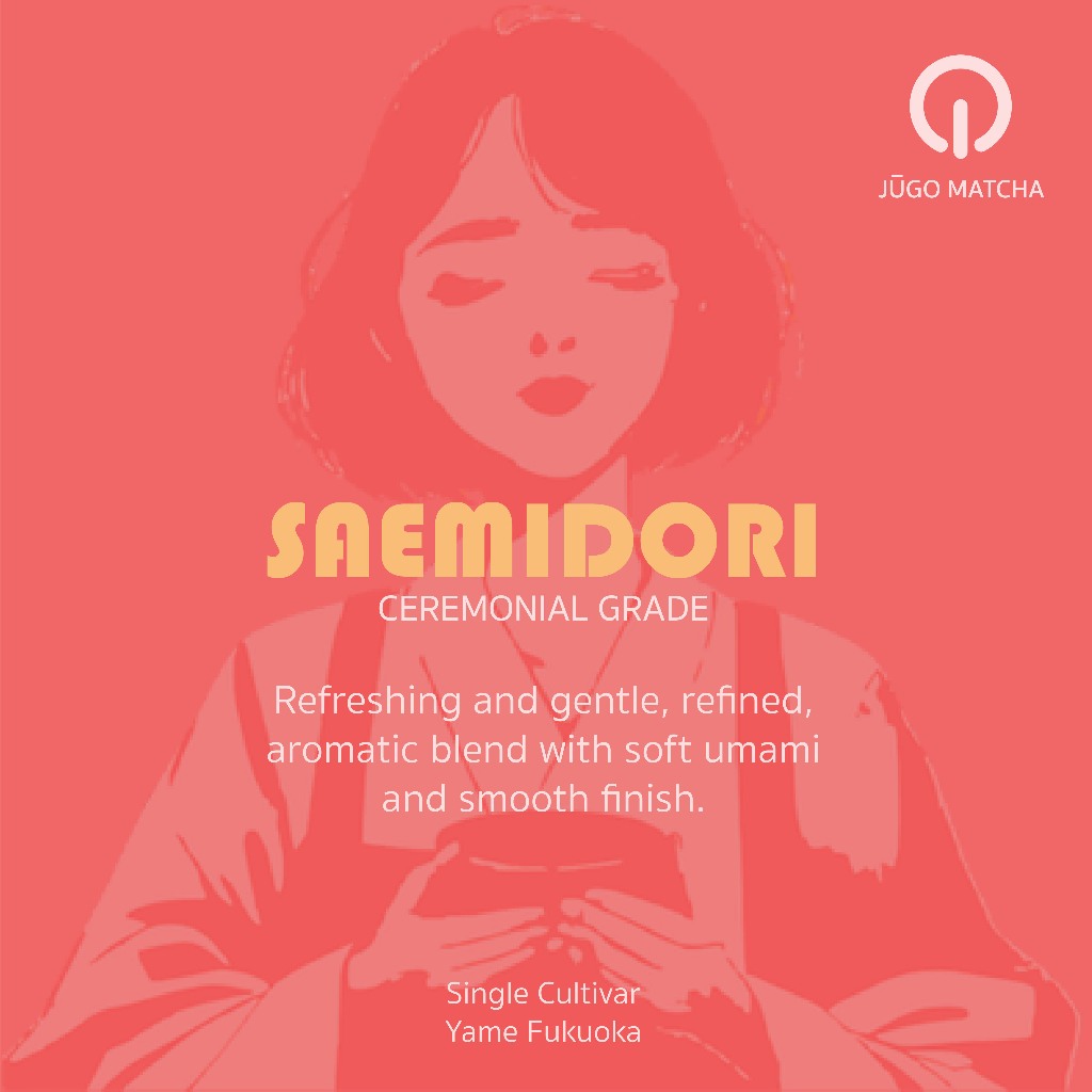 Saemidori Matcha Ceremonial Grade ราคา ถูกที่สุด ดีลบีเคเค แกลเลอรีภาพที่ 3