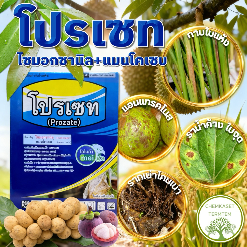 โปรเซท ไซมอกซานิล+แมนโคเซบ ขนาด 1 กก 🥬สารป้องกันกำจัดโรคพืช ใบจุด ใบไหม้ ราแป้ง ราน้ำค้าง