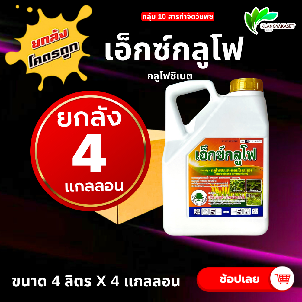ยกลัง 4 แกลลอน เอ็กซ์กลูโฟ ( กลูโฟซิเนต  ) ขนาด 4 ลิตร วัชพืชหลังงอกแบบไม่เลือกทำลาย ใช้กำจัดวัชพืชแบบใบแคบ