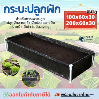 กระบะปลูกผัก พร้อมโครง PVC ขนาด 60x200x30cm กะบะเพาะปลูก​ ถุงปลูก​ต้นไม้ แปลงผัก กระบะปลูกผัก แปลงปลูกผัก