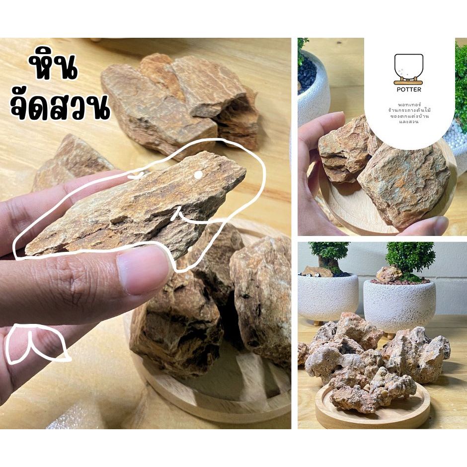 Potter หินจัดสวนถาด | หินรูพรุน | หินชั้น ขนาดจิ๋วๆ สำหรับกระถางขนาด 4-6 นิ้ว
