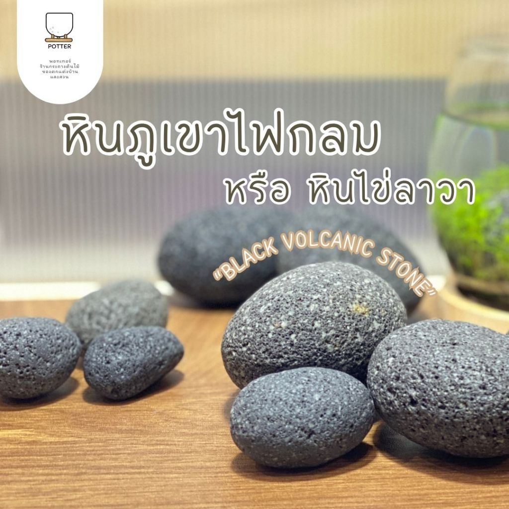 Potterหินภูเขาไฟ หินไข่ลาวา ก้อนหินตกแต่งตู้ปลา กระถางต้นไม้ หินแตกแต่งสวนถาด หินลาวาออสเตรเลีย Lava Stones