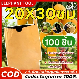 จำนวน 100 ถุงกระดาษคาร์บอน ถุงห่อผลไม้ ขนาด 20x30 cm ป้องกันแมลงวันทองช่วยให้ผลไม้มีสีและผิวสสองชั้นกันน้ำ กันนก บังแสง