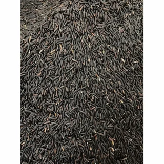🌾NEW ขนาด500กรัม ข้าวกล้องไรซ์เบอร์รี่ปลอดสาร เกรดคัดสีพิเศษ ตราไก่สีทอง แพคสูญญากาศ Organic แท้ 100%