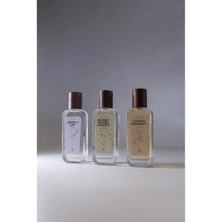 Plain Poetry - Money Money Money! EDP 50ML.