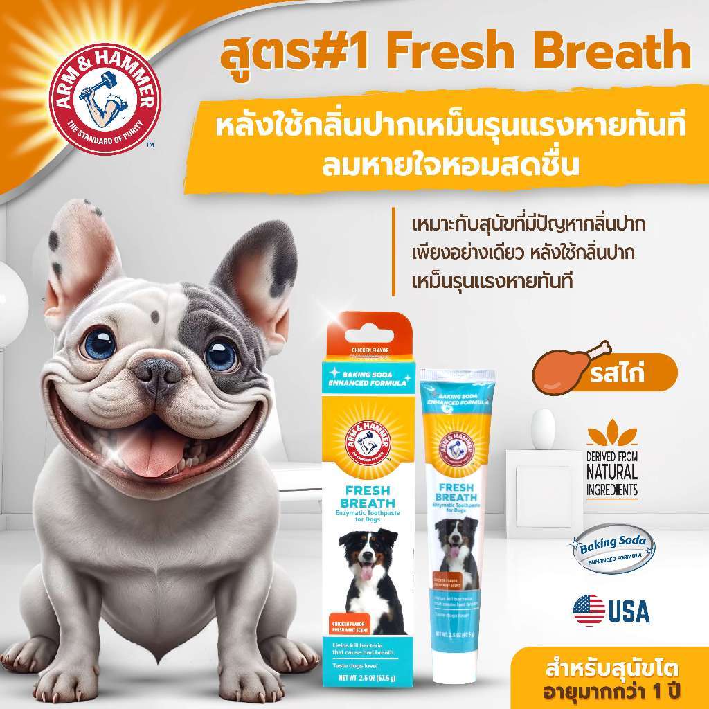 [แบรนด์แท้ USA🇺🇸] หมดอายุ 30/11/26 Arm and Hammer ยาสีฟันสุนัข สูตร1 สุนัข ลดกลิ่นปาก ไก่มินต์ 67.5g