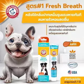 [แบรนด์แท้ USA🇺🇸] Arm and Hammer ยาสีฟันสุนัข สูตร1 สุนัข ลดกลิ่นปาก ไก่มินต์ 67.5g