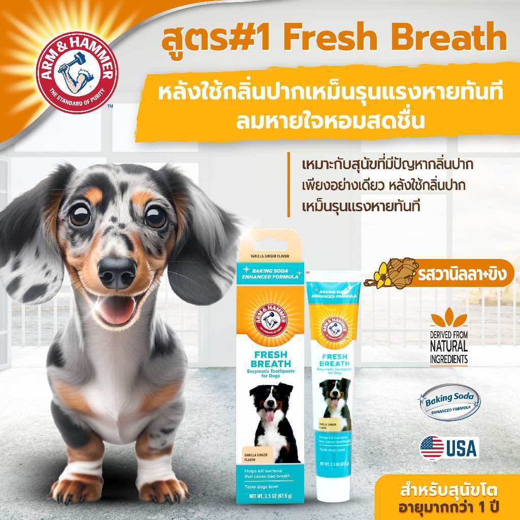 [แบรนด์แท้ USA🇺🇸] หมดอายุ 30/11/26 Arm and Hammer สูตร1 ยาสีฟันสุนัข ลดหลิ่นปาก วานิลาขิงมินต์ 67.5g